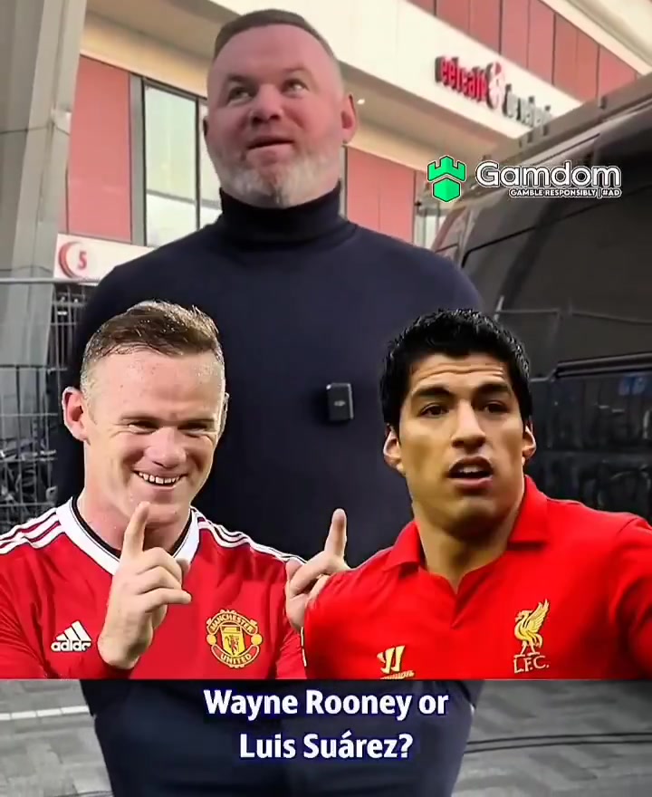 魯尼我蘇牙萊萬(wàn)內(nèi)馬爾凱恩阿奎羅和伊布