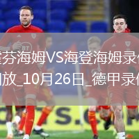 10月26日德甲第8輪霍芬海姆vs海登海姆全場錄像