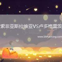 索非亞斯拉維亞VS盧多格雷茨