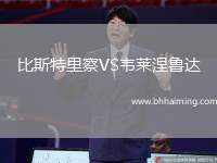 比斯特里察VS韋萊涅魯達