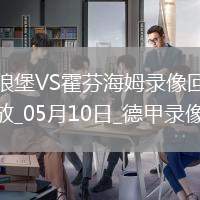 德甲第33輪沃爾夫斯堡2-2霍芬海姆