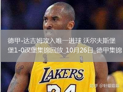 德甲-達(dá)吉姆攻入唯一進(jìn)球沃爾夫斯堡1-0漢堡