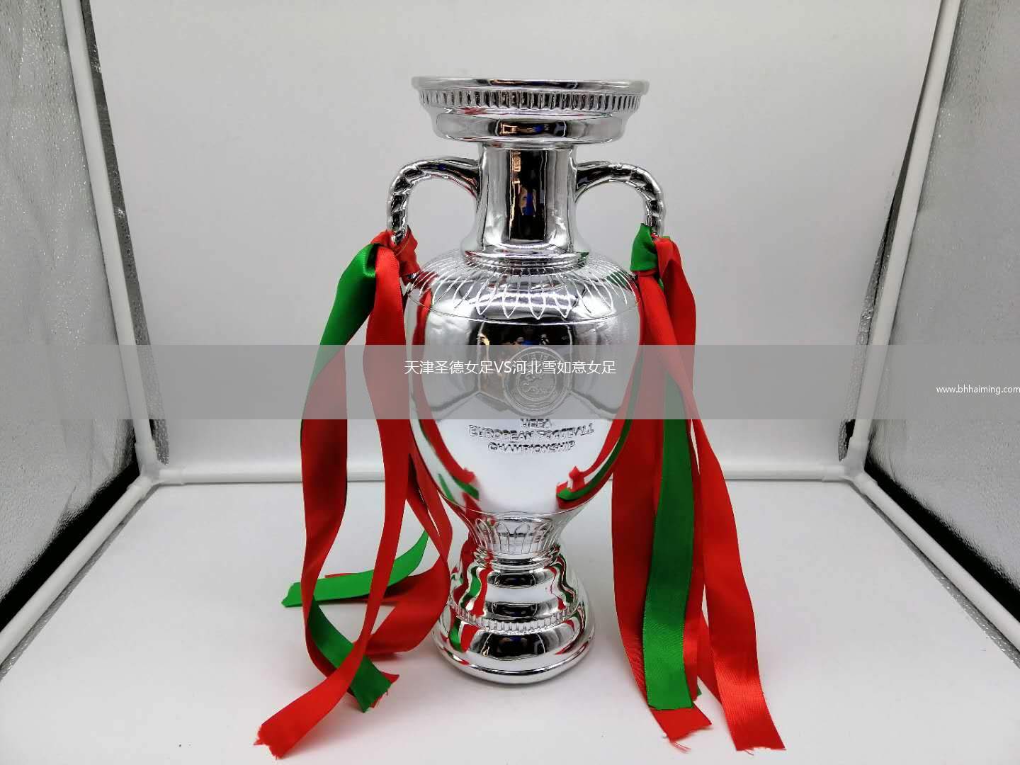 天津圣德女足VS河北雪如意女足