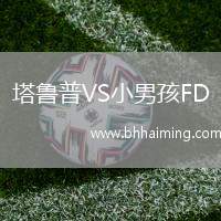 塔魯普VS小男孩FD