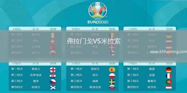 弗拉門戈VS米拉索