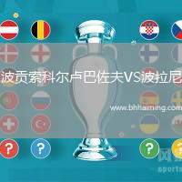 波貢索科爾盧巴佐夫VS波拉尼