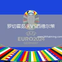 羅切霍茹夫VS西德爾策