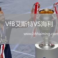 VfB艾斯特VS海利