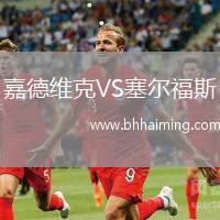 嘉德維克VS塞爾福斯