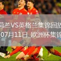07月11日歐洲杯半決賽荷蘭vs英格蘭進(jìn)球視頻