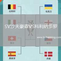 SV沙夫豪森VS科利納多羅