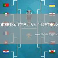 索非亞斯拉維亞VS盧多格雷茨