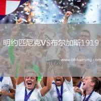 明約匹尼克VS布爾加斯1919