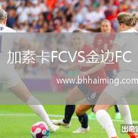 加素卡FCVS金邊FC