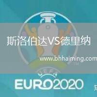 斯洛伯達(dá)VS德里納