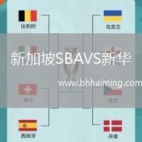 新加坡SBAVS新華