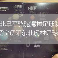 河北阜平駱駝灣村足球隊(duì)VS遼寧遼陽東北虎村足球隊(duì)