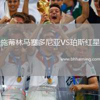 施蒂林馬塞多尼亞VS珀斯紅星