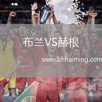 布蘭VS赫根