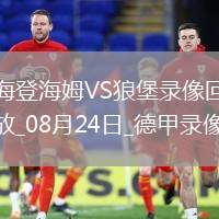 08月24日德甲第1輪海登海姆vs沃爾夫斯堡全場錄像