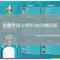 秘魯體育大學VS帕爾梅拉斯