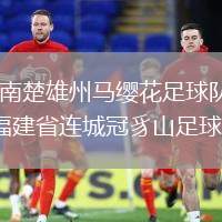 云南楚雄州馬纓花足球隊VS福建省連城冠豸山足球隊