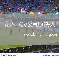 安養(yǎng)FCVS浦項鐵人