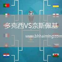 多克西VS奈斯佩基