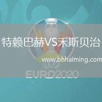 特賴巴赫VS禾斯貝治