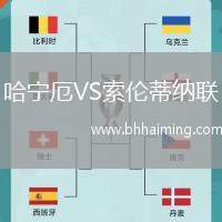 哈寧厄VS索倫蒂納聯(lián)
