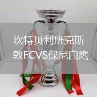 坎特貝利班克斯敦FCVS保尼白鷹