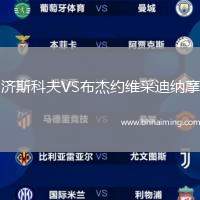 濟(jì)斯科夫VS布杰約維采迪納摩