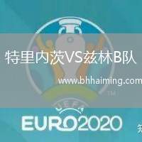 特里內(nèi)茨VS茲林B隊(duì)