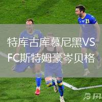 特庫(kù)古庫(kù)慕尼黑VSFC斯特姆豪岑貝格