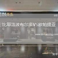 比耶洛波布爾多VS歐帕提亞