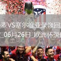 歐洲杯小組賽C組第3輪丹麥0-0塞爾維亞