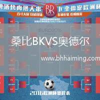 桑比BKVS奧德爾