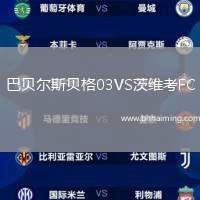 巴貝爾斯貝格03VS茨維考FC