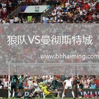 狼隊VS曼徹斯特城