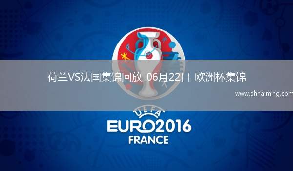 06月22日歐洲杯小組賽D組第2輪荷蘭vs法國精彩片段