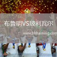 布魯明VS玻利瓦爾