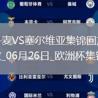 歐洲杯小組賽C組第3輪丹麥vs塞爾維亞精彩片段