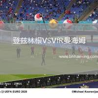 登茲林根VSVfR曼海姆