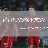 諾汀根VS格平杰SV