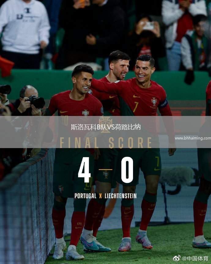 斯洛瓦科B隊VS荷路比納