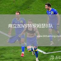 弗立加VS特羅姆瑟B隊(duì)
