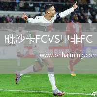 毗沙卡FCVS里非FC