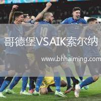 哥德堡VSAIK索爾納