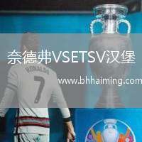 奈德弗VSETSV漢堡