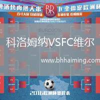 科洛姆納VSFC維爾